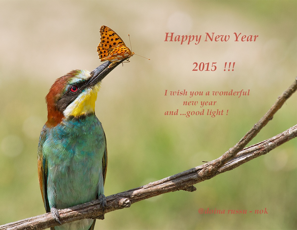 Happy New Year 2015 to all!...