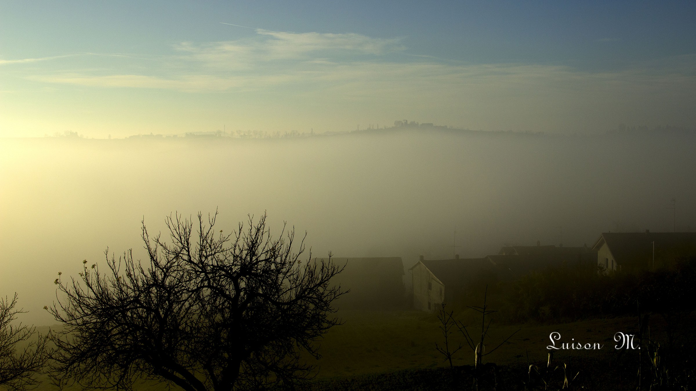 nebbia in Monferrato...