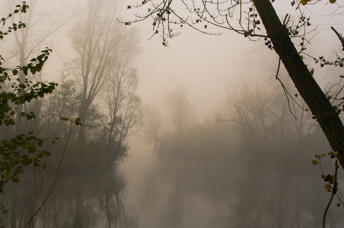 a foggy day Pentax K20D 35...