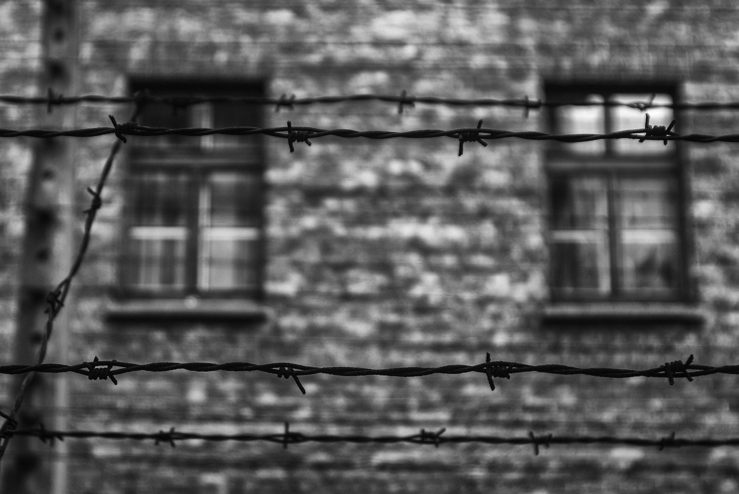 Auschwitz 09...