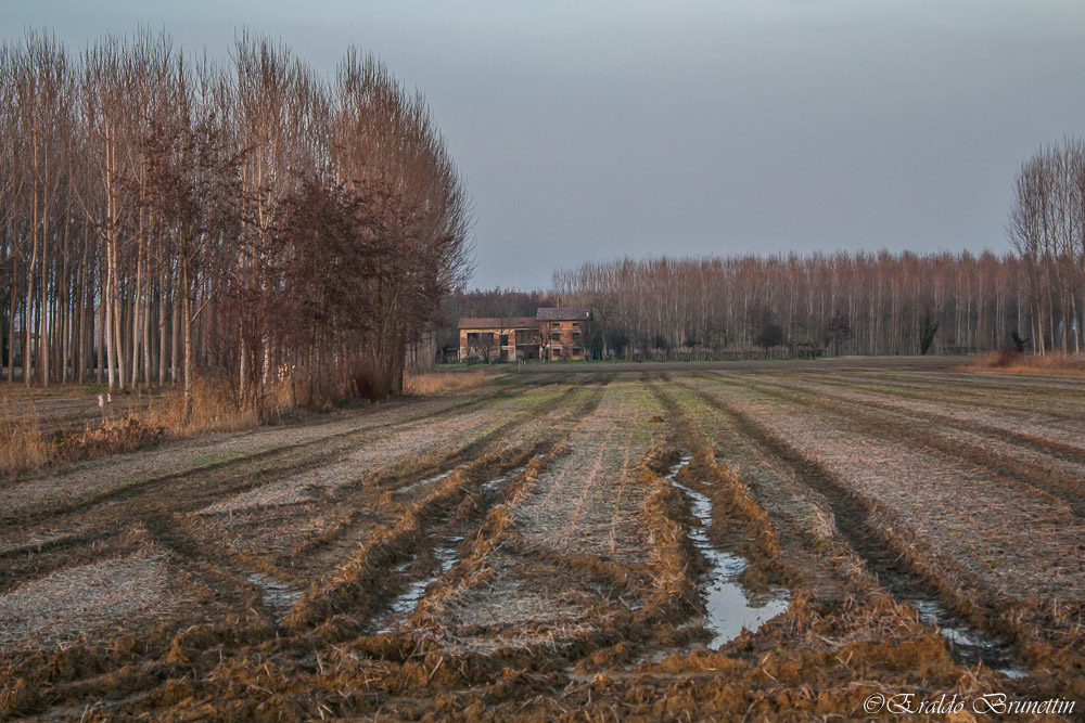 Rural landscape. Torrate (pn)...