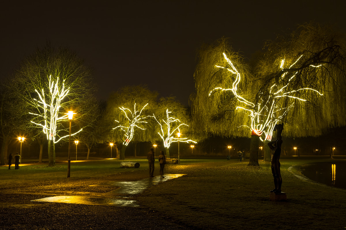 Night walk at the glowing trees...