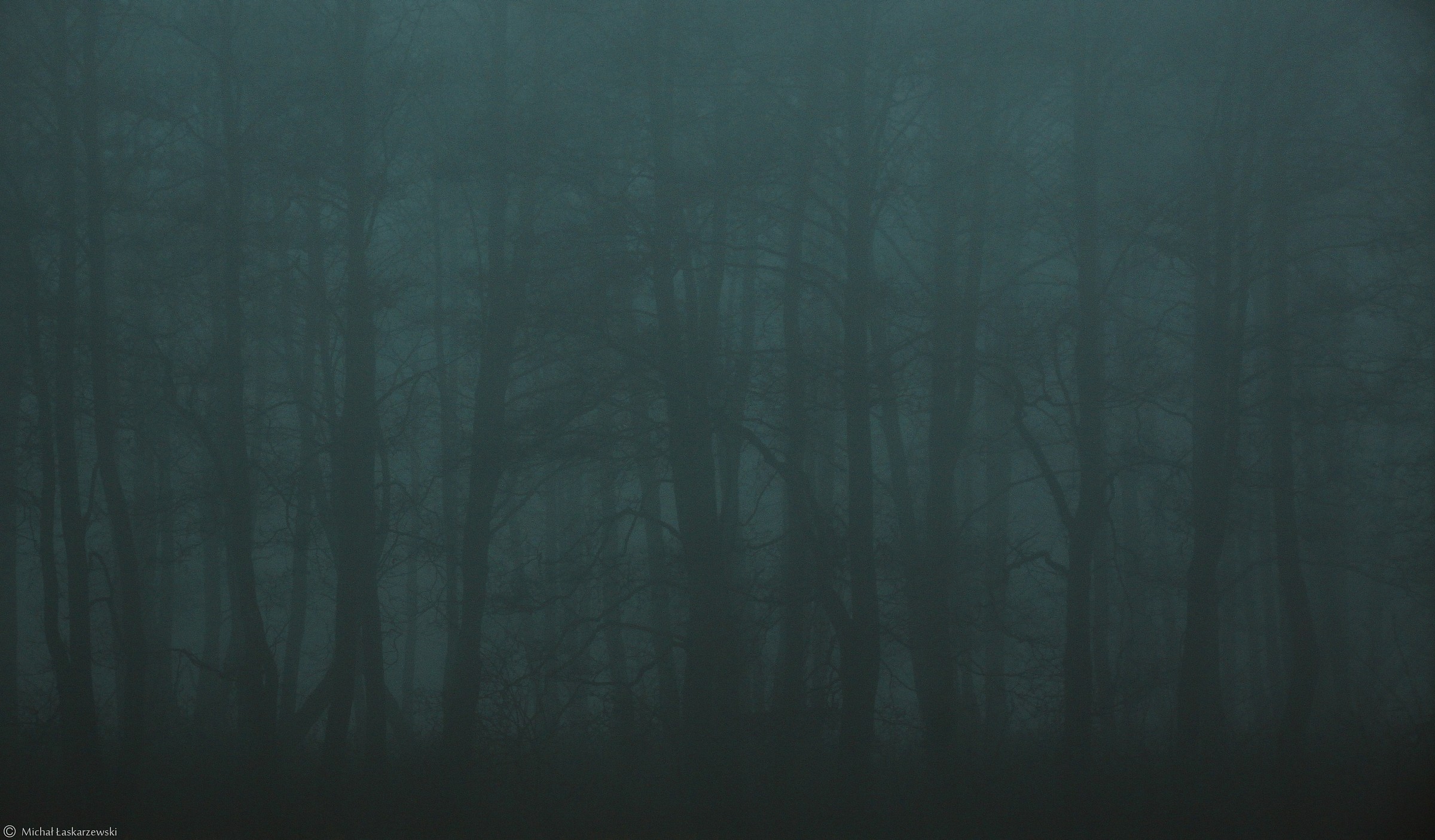 Mist_2...