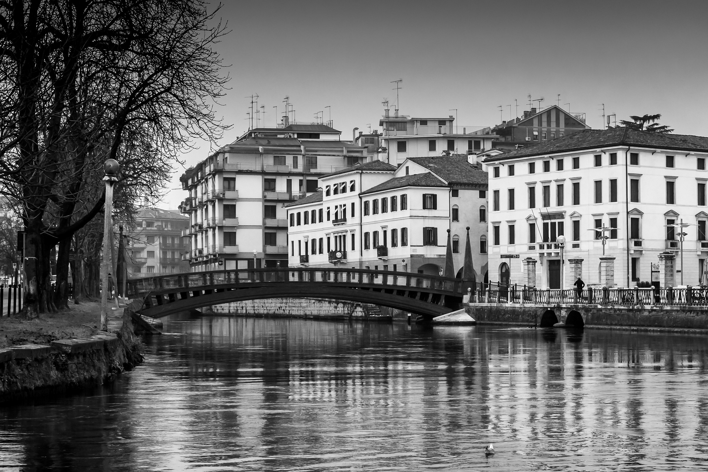Ponte university Treviso...