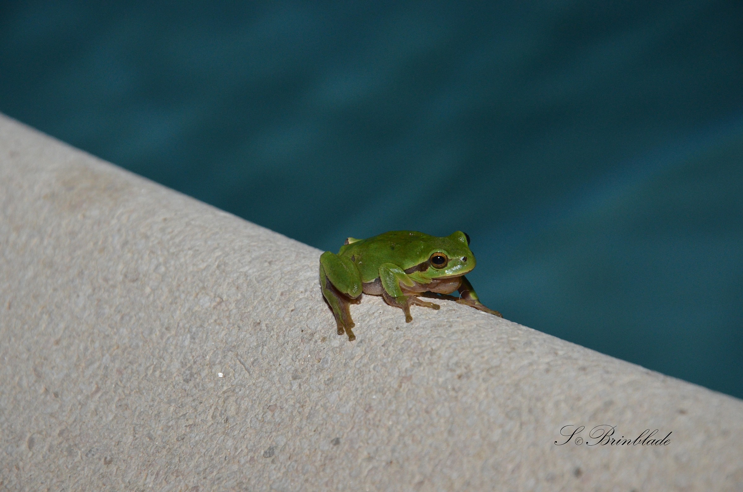 walk by the pool !!!!...