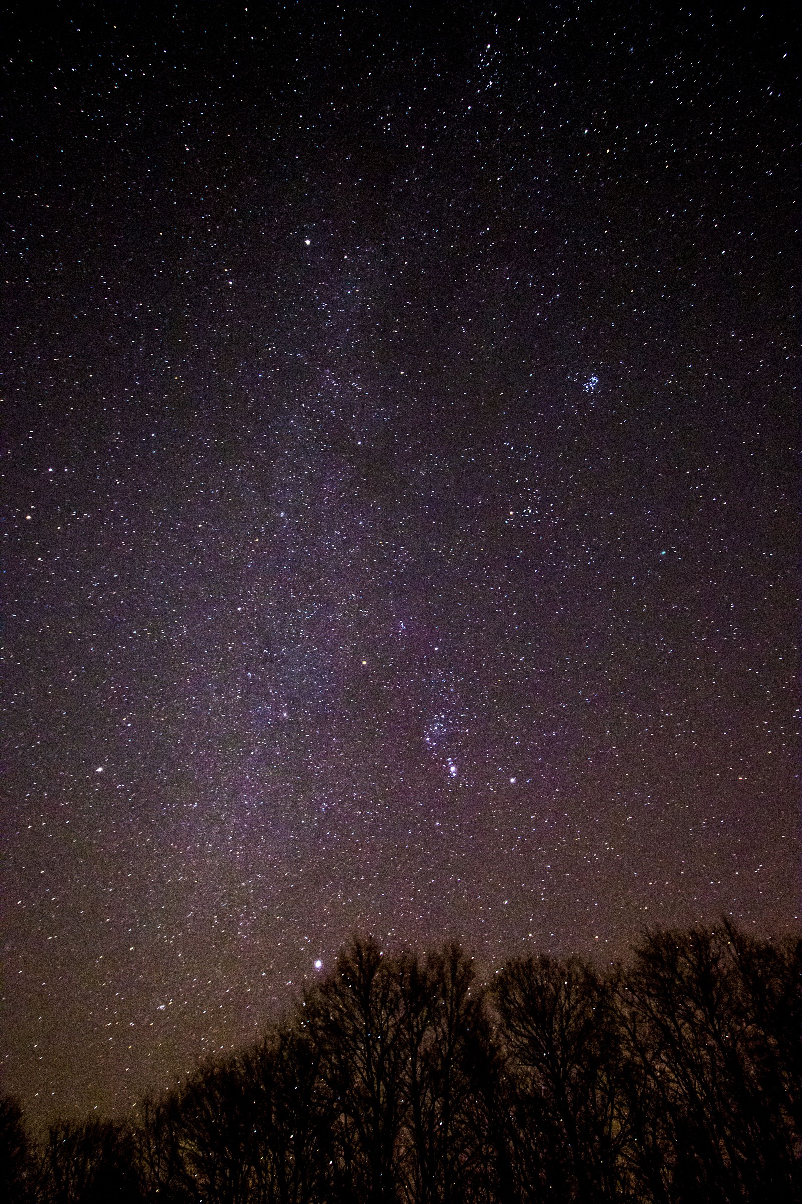 first stars...