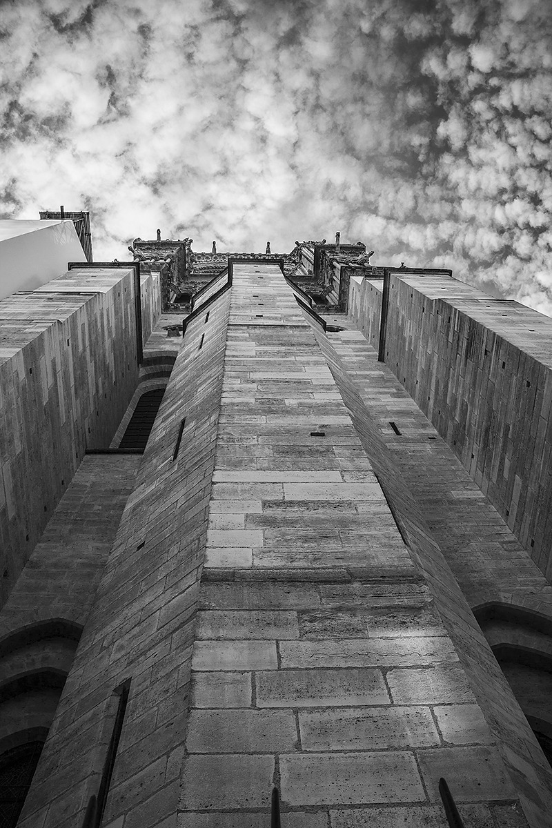 Skyward Notre-Dame...