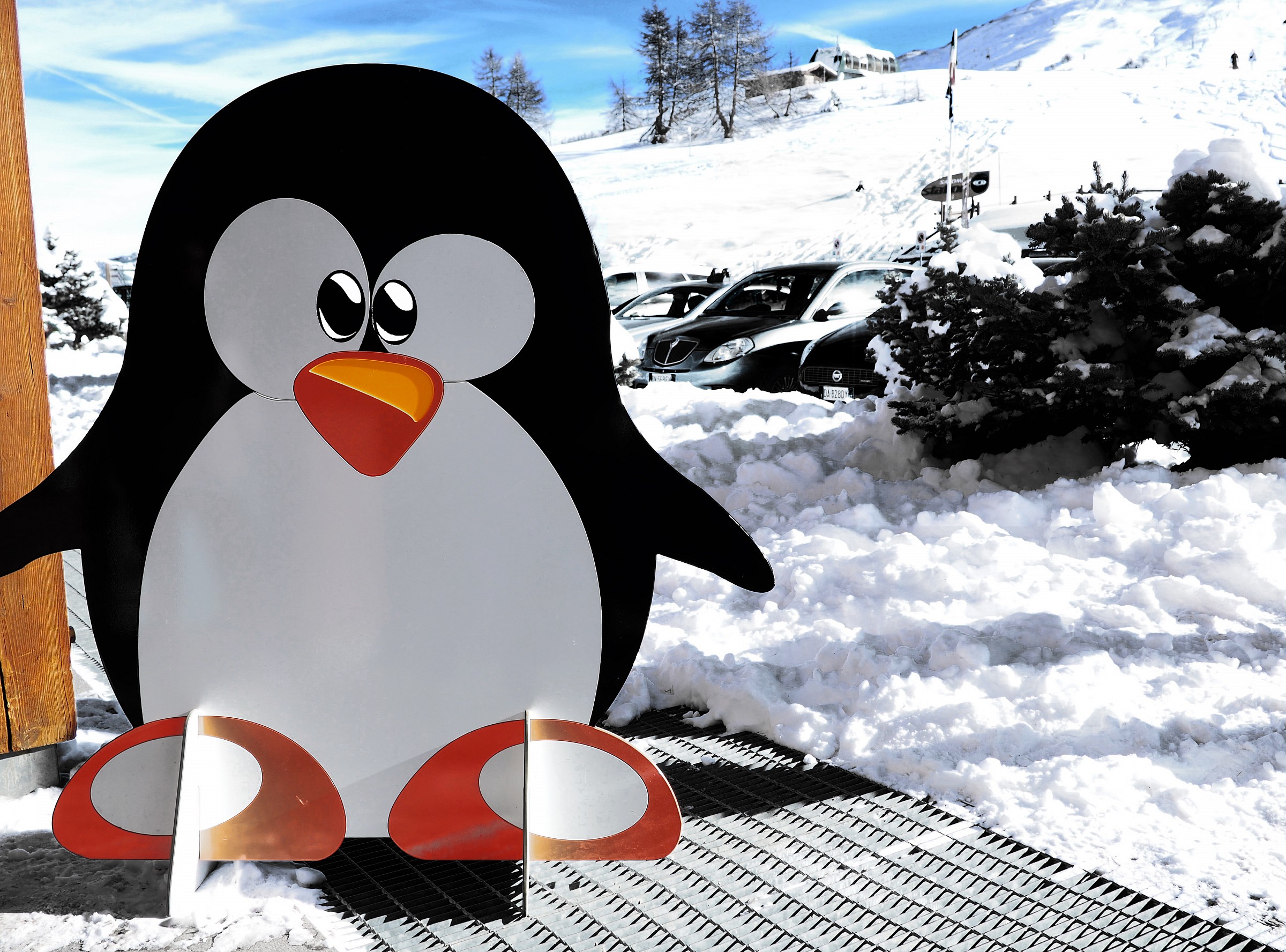 Pingu friend...