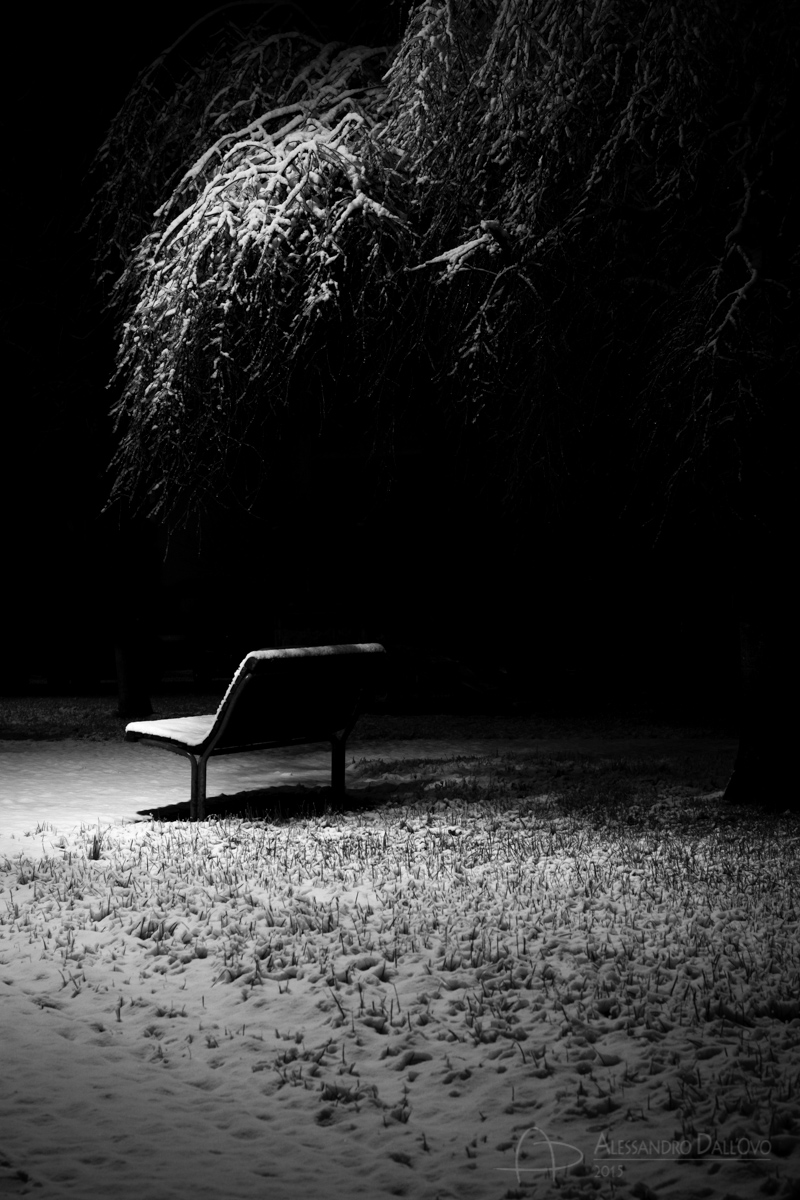 Bench in the Snow...