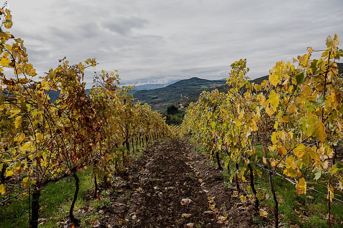 i colori del contado fiorentino...