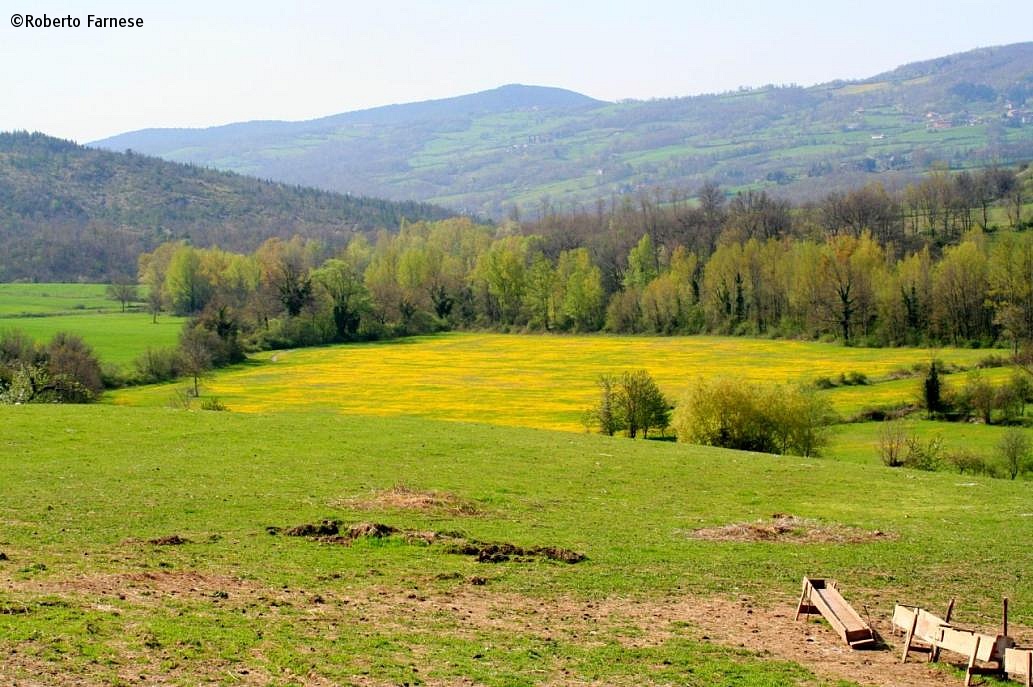 Dolce Toscana...