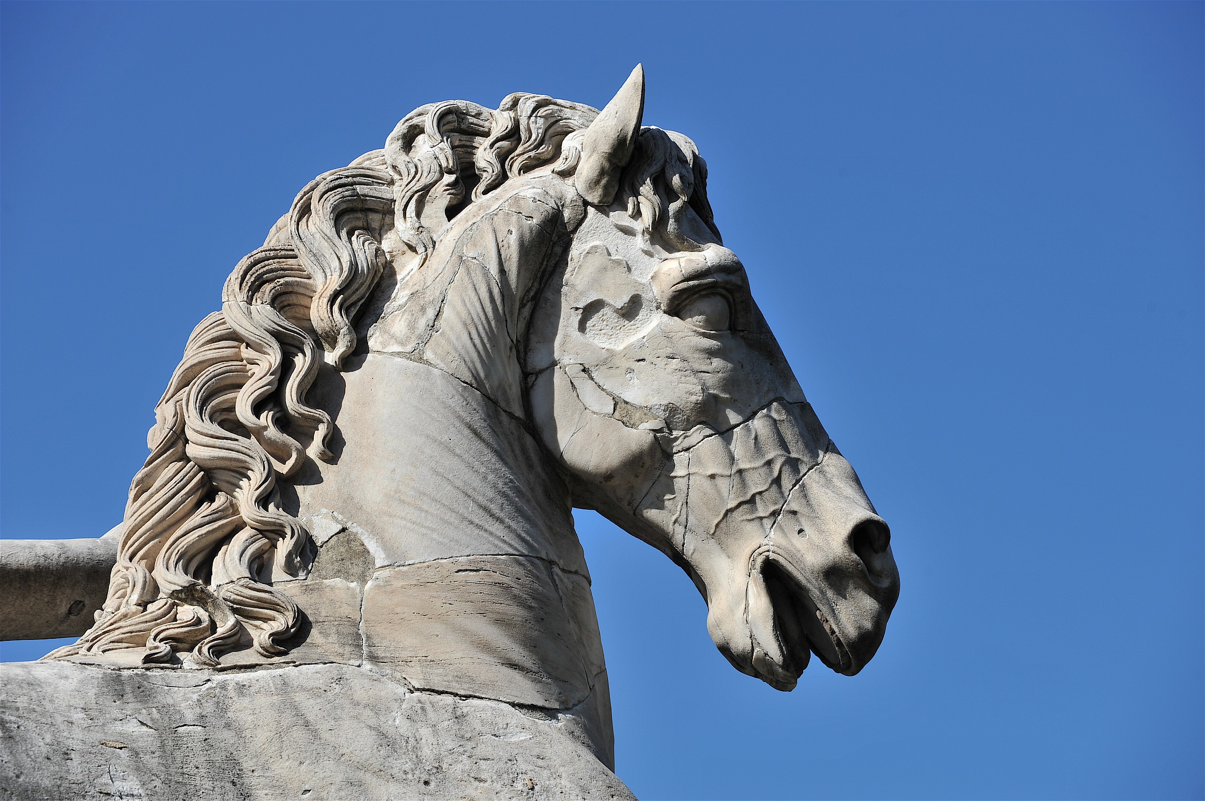 Roma Campidoglio-Part. Cavallo Dioscuri...