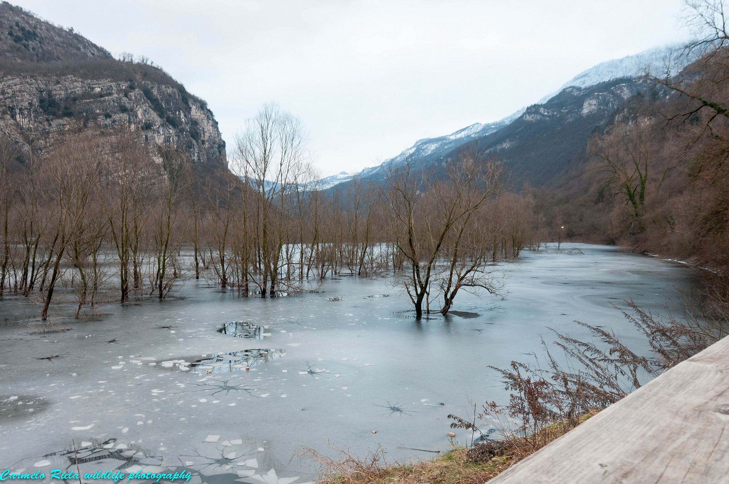 Lake Loppio the largest swamp in Trentino....