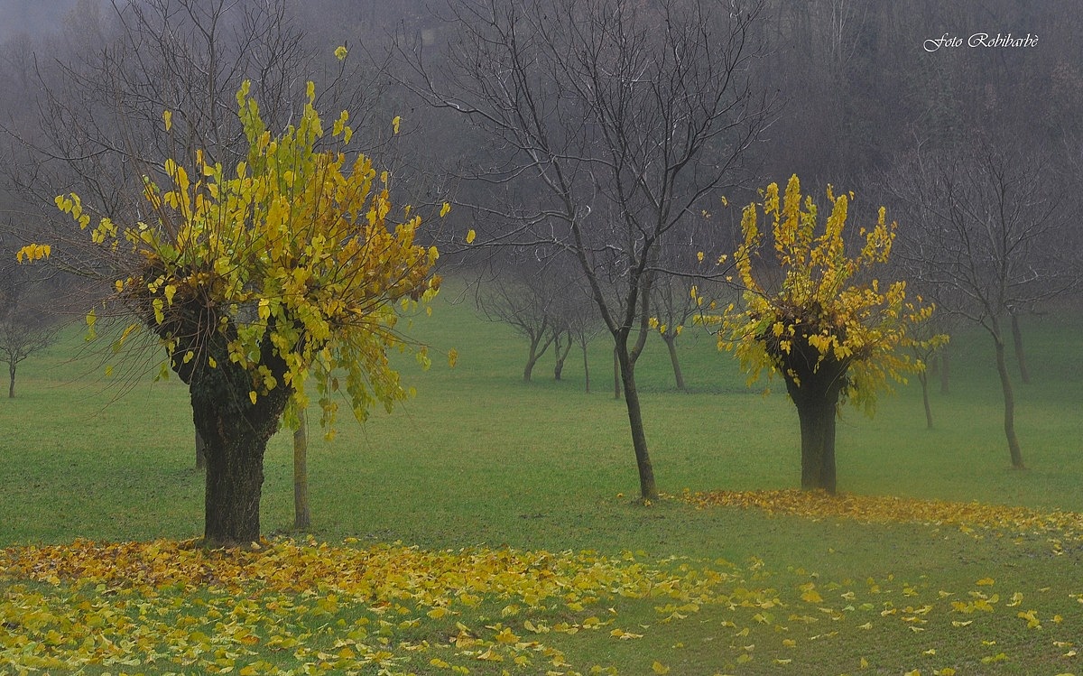 Scende il silenzio.......