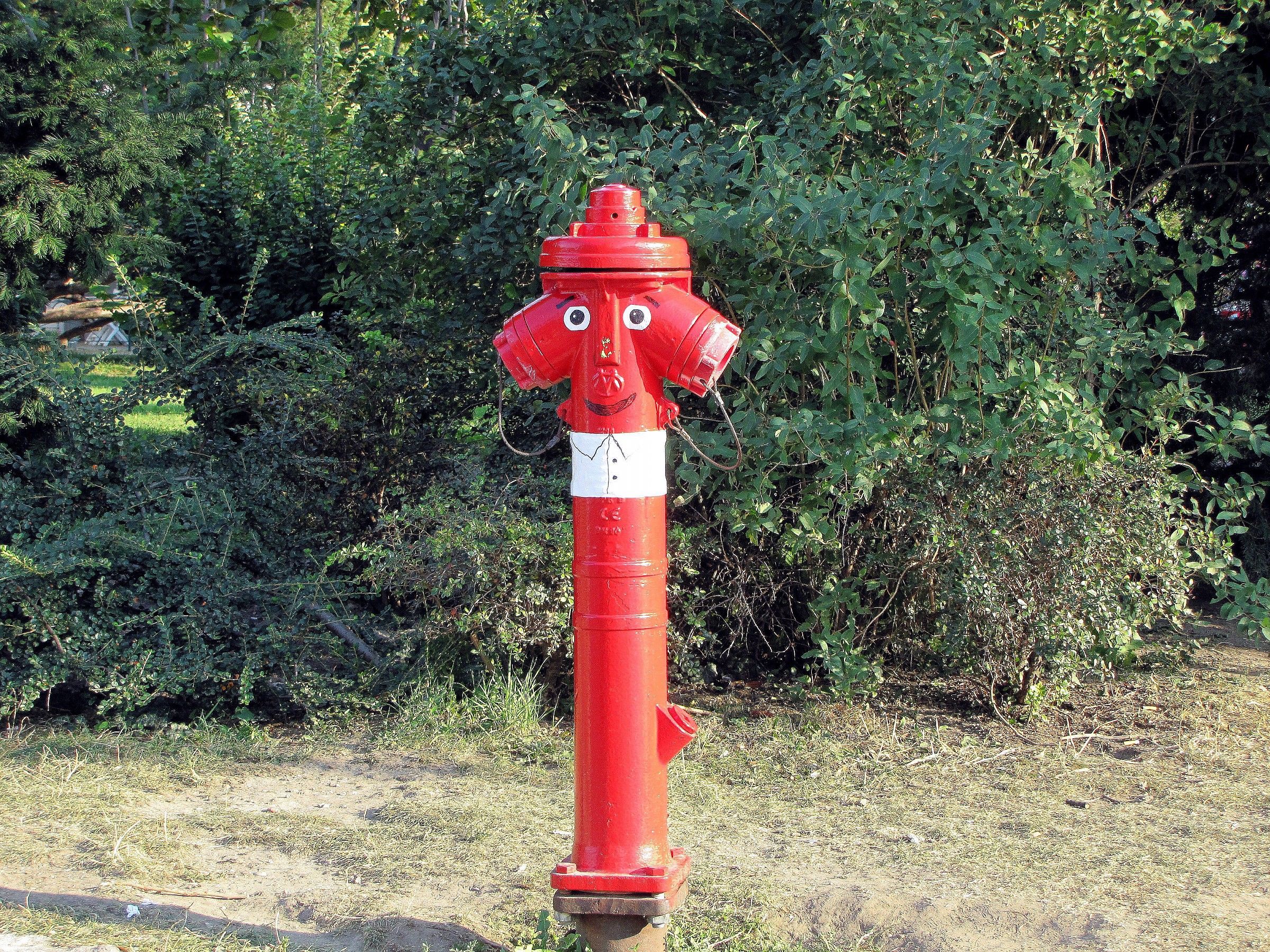 Hydrant "puppet"....