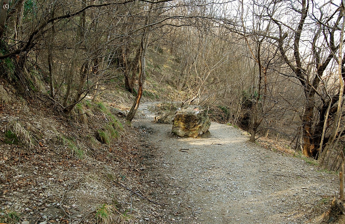 Path to Forte Crocetta (Ge)...
