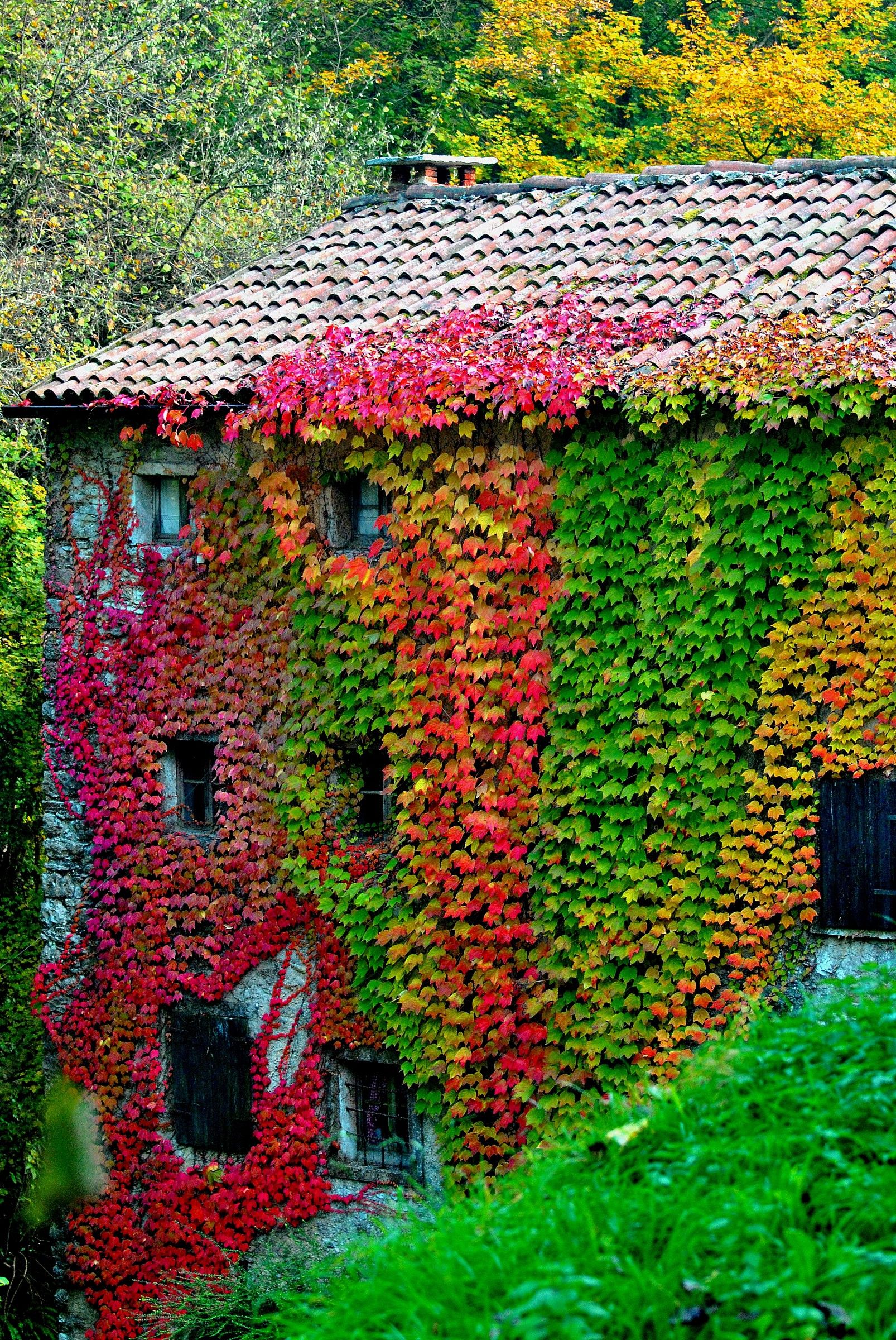 Back of an old mill...