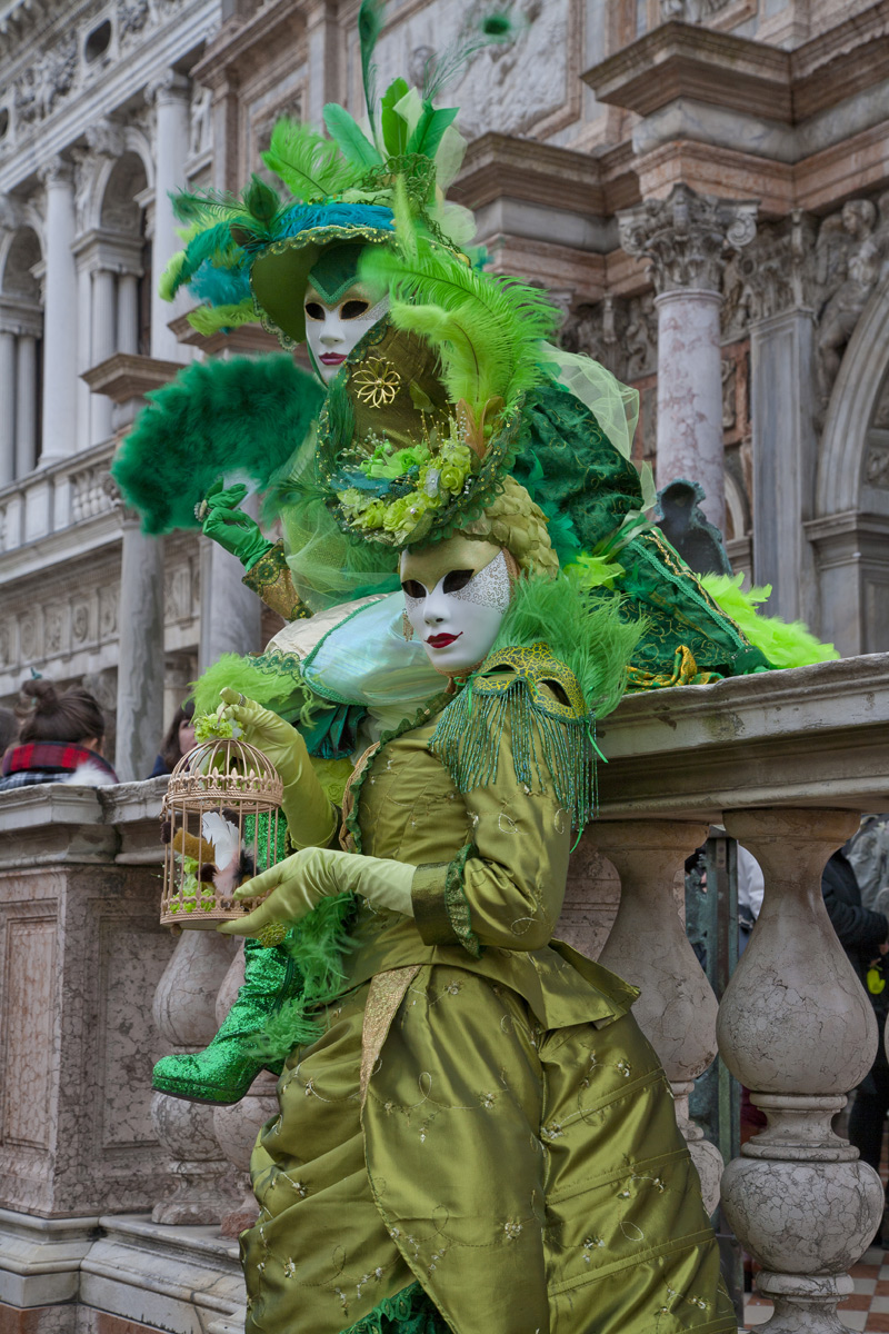 Venezia carnevale 2015...