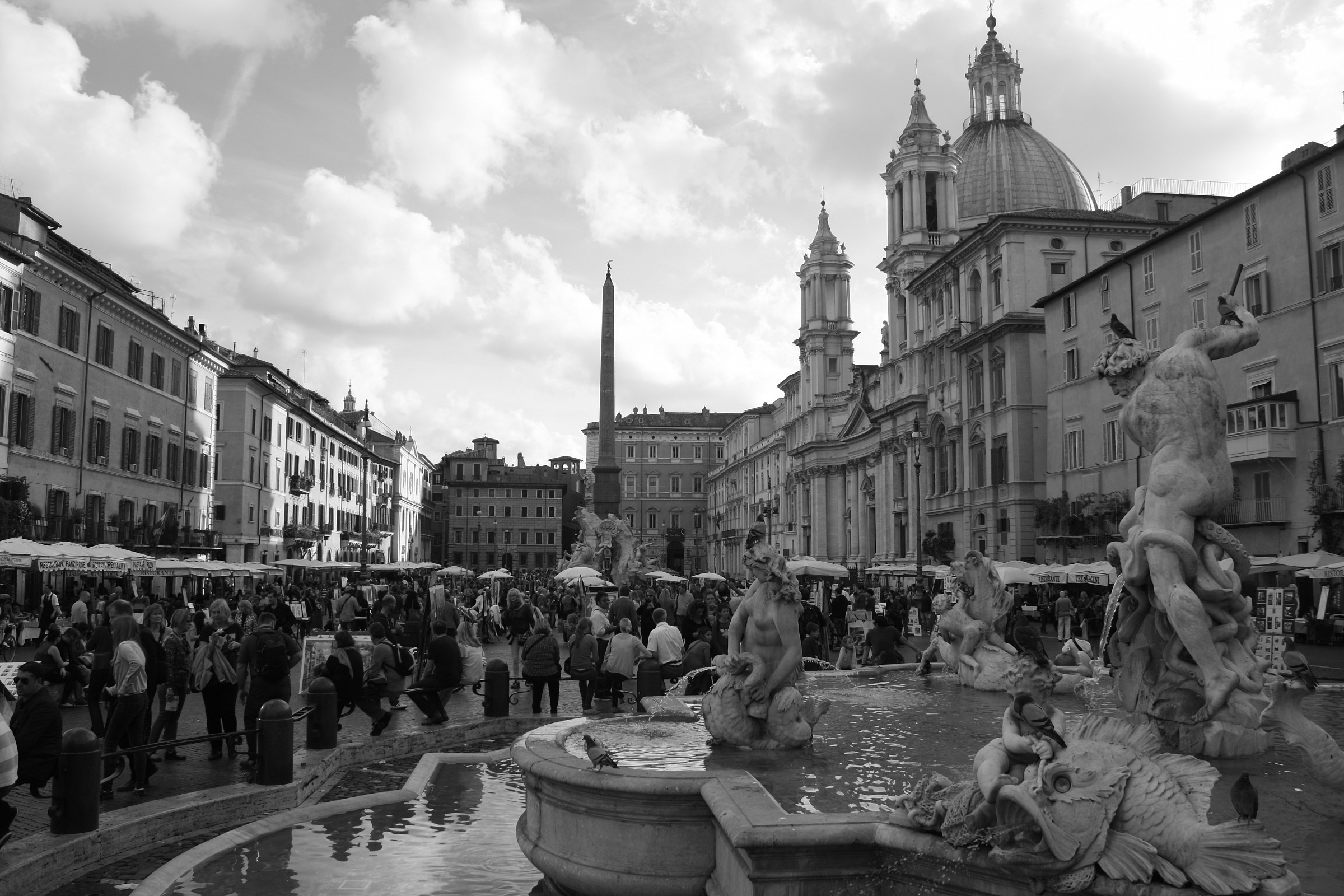 Navona Black & White...