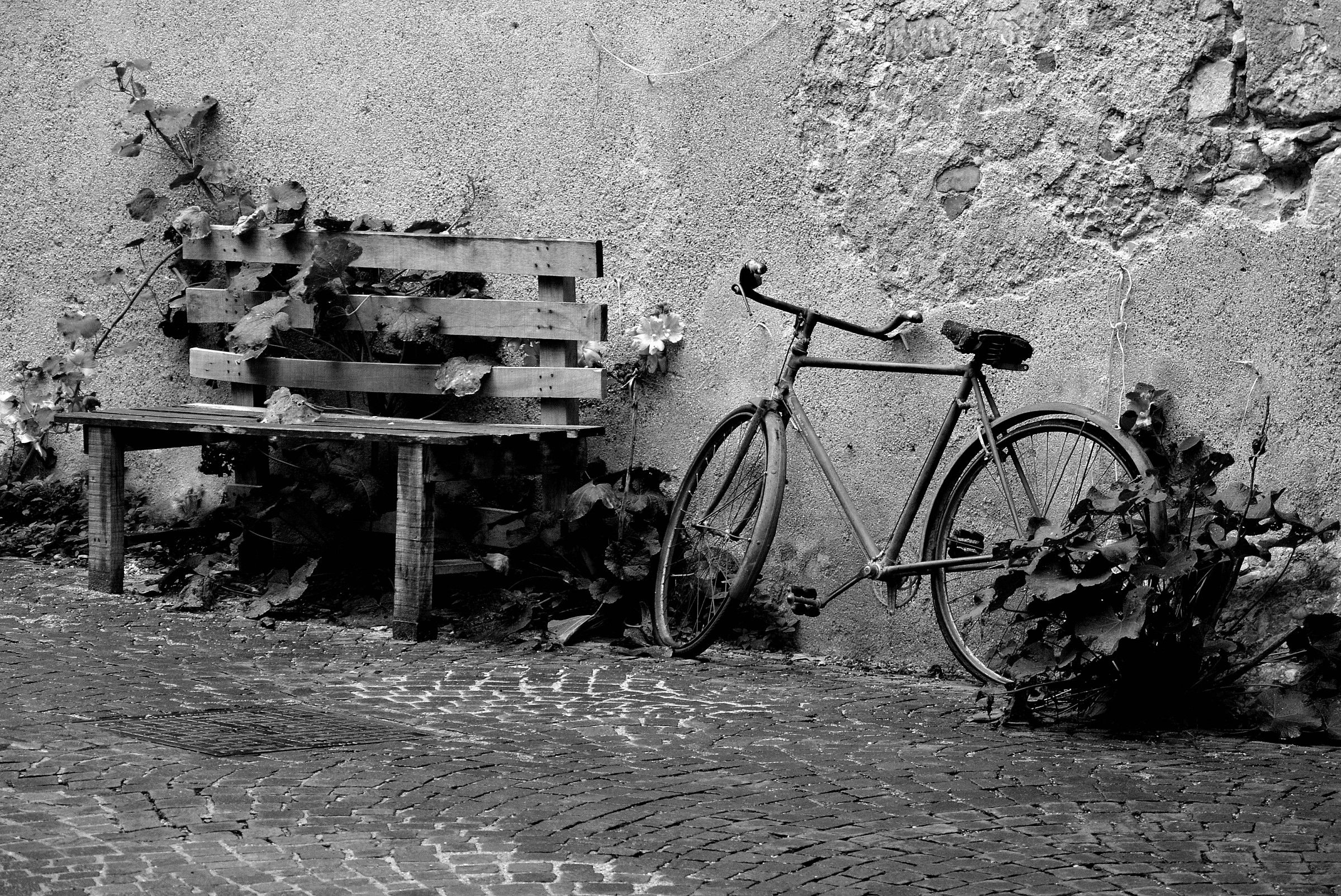 abandoned bike ......