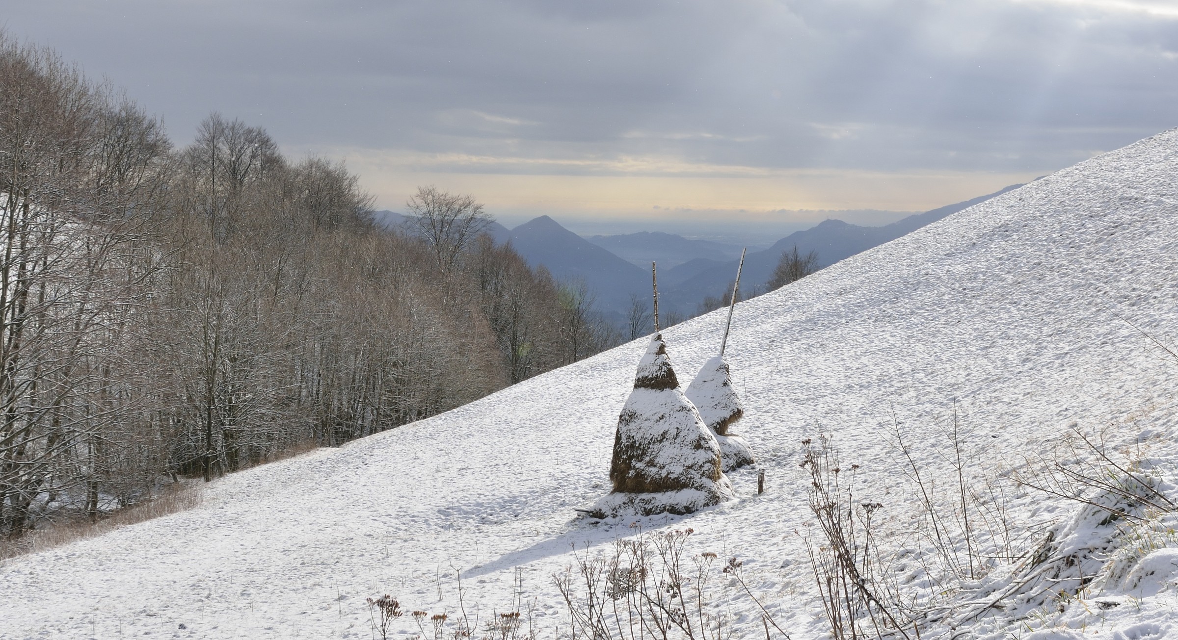 Covoni di fieno(val Imagna)...