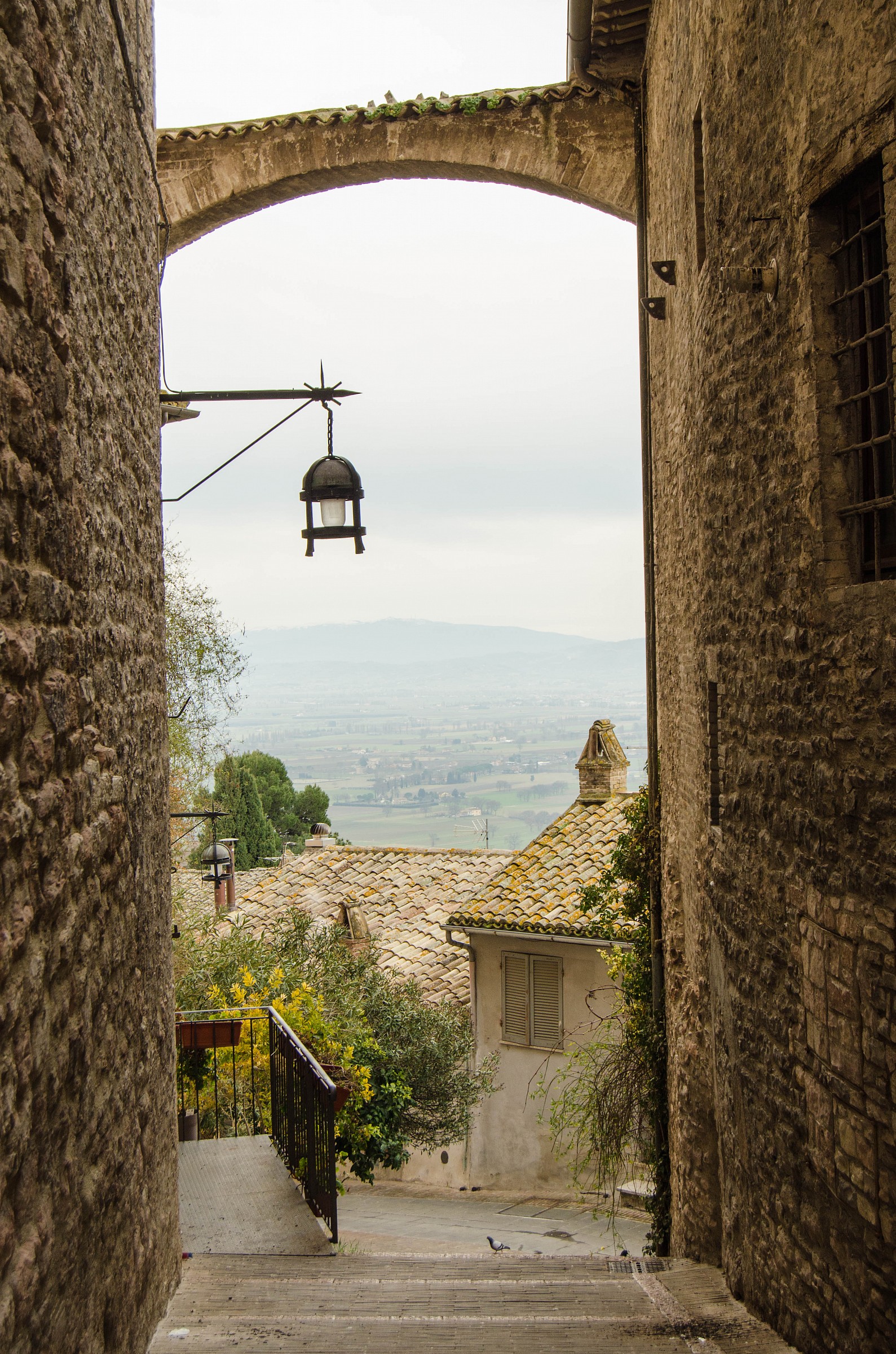 An alley of Spello...