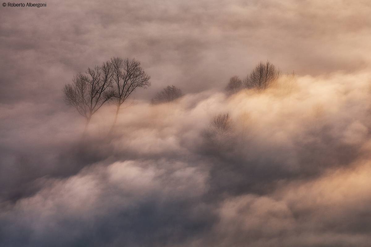 Un bagliore nella nebbia...