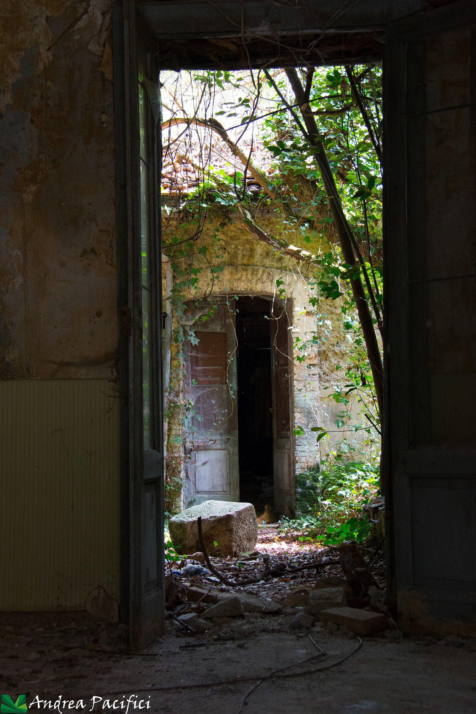 Apice Vecchia...