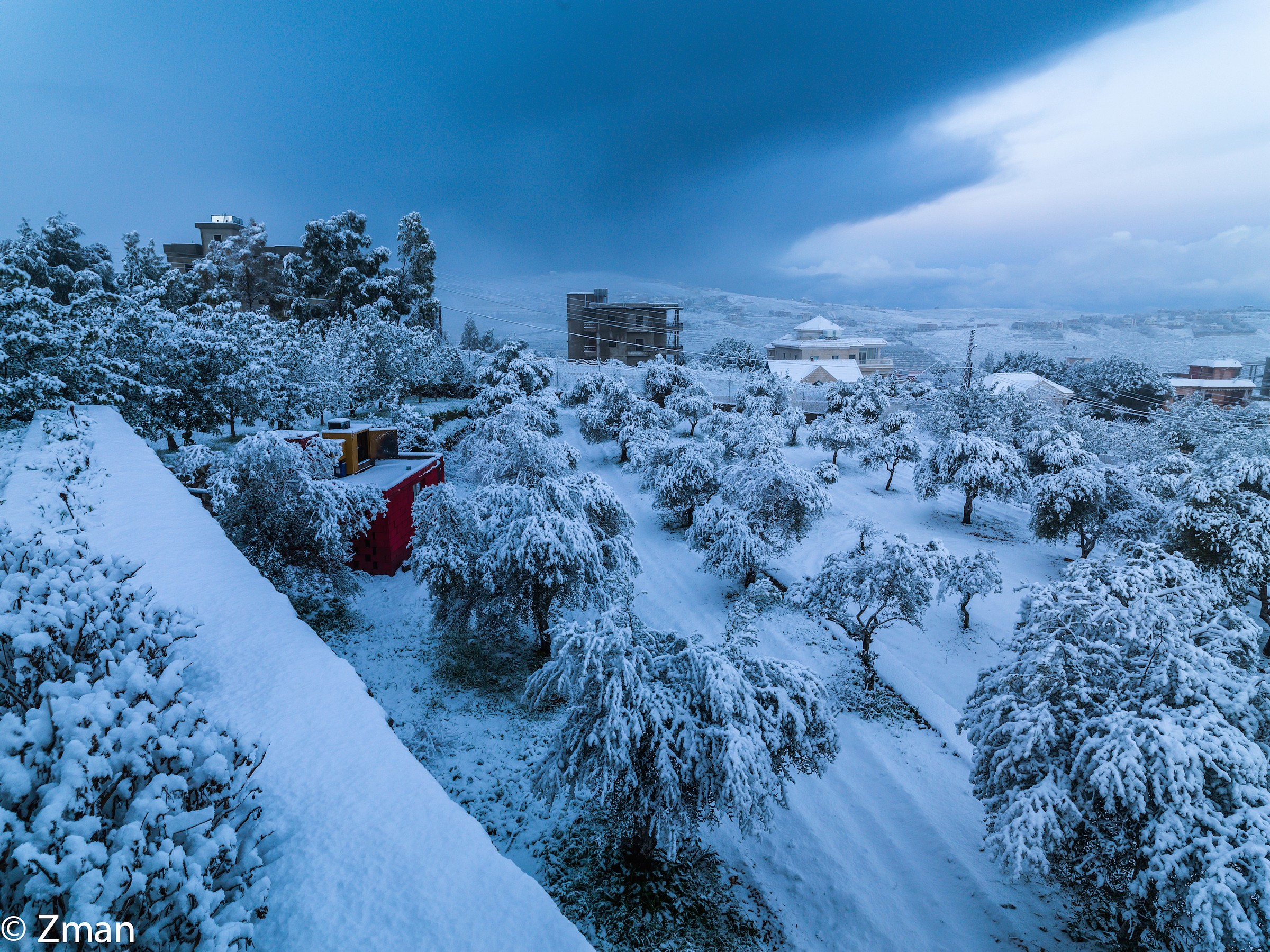 Campi di Ulivi sotto la neve...