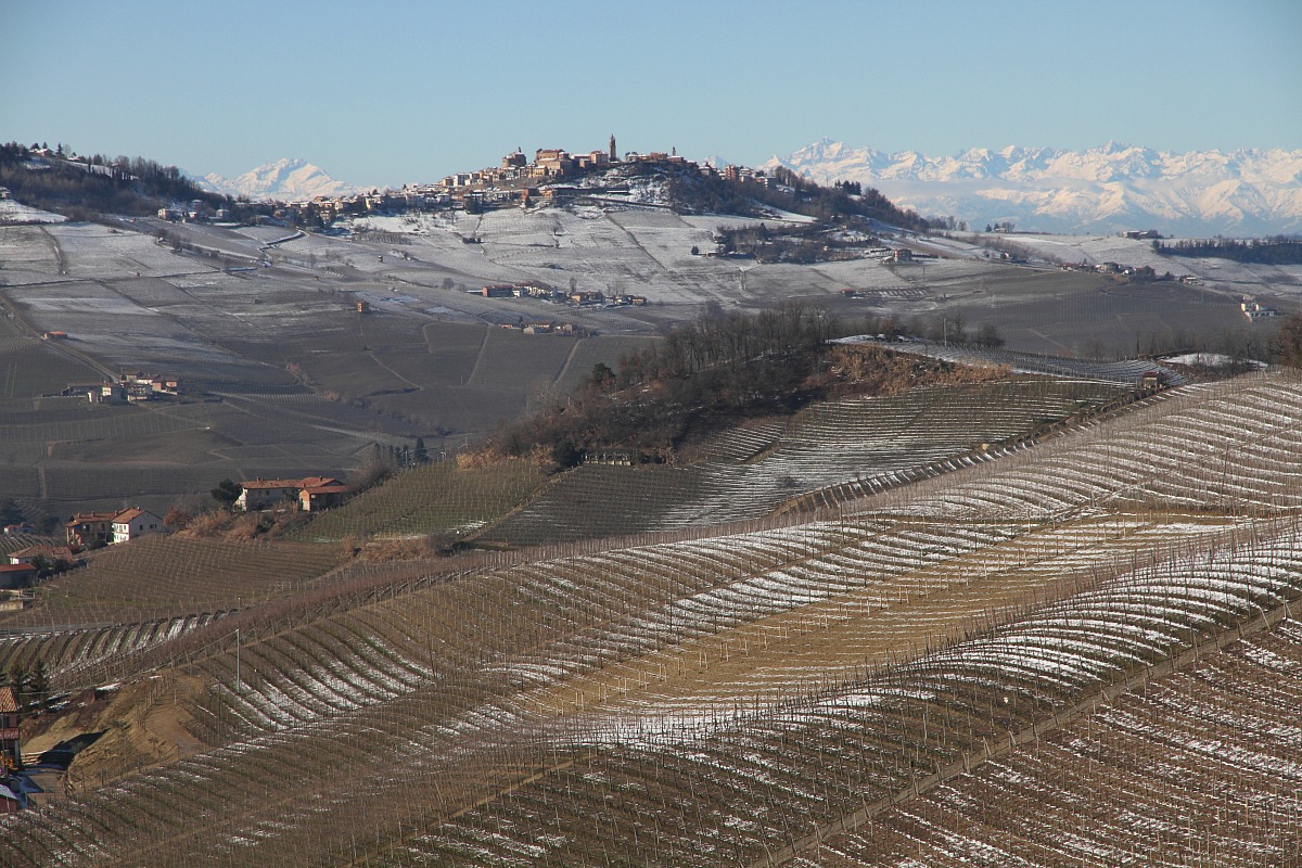 colline delle langhe...