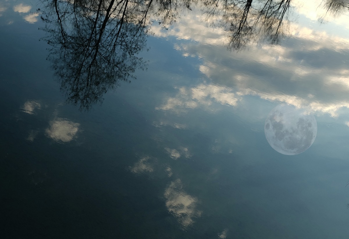 Reflection of the moon...