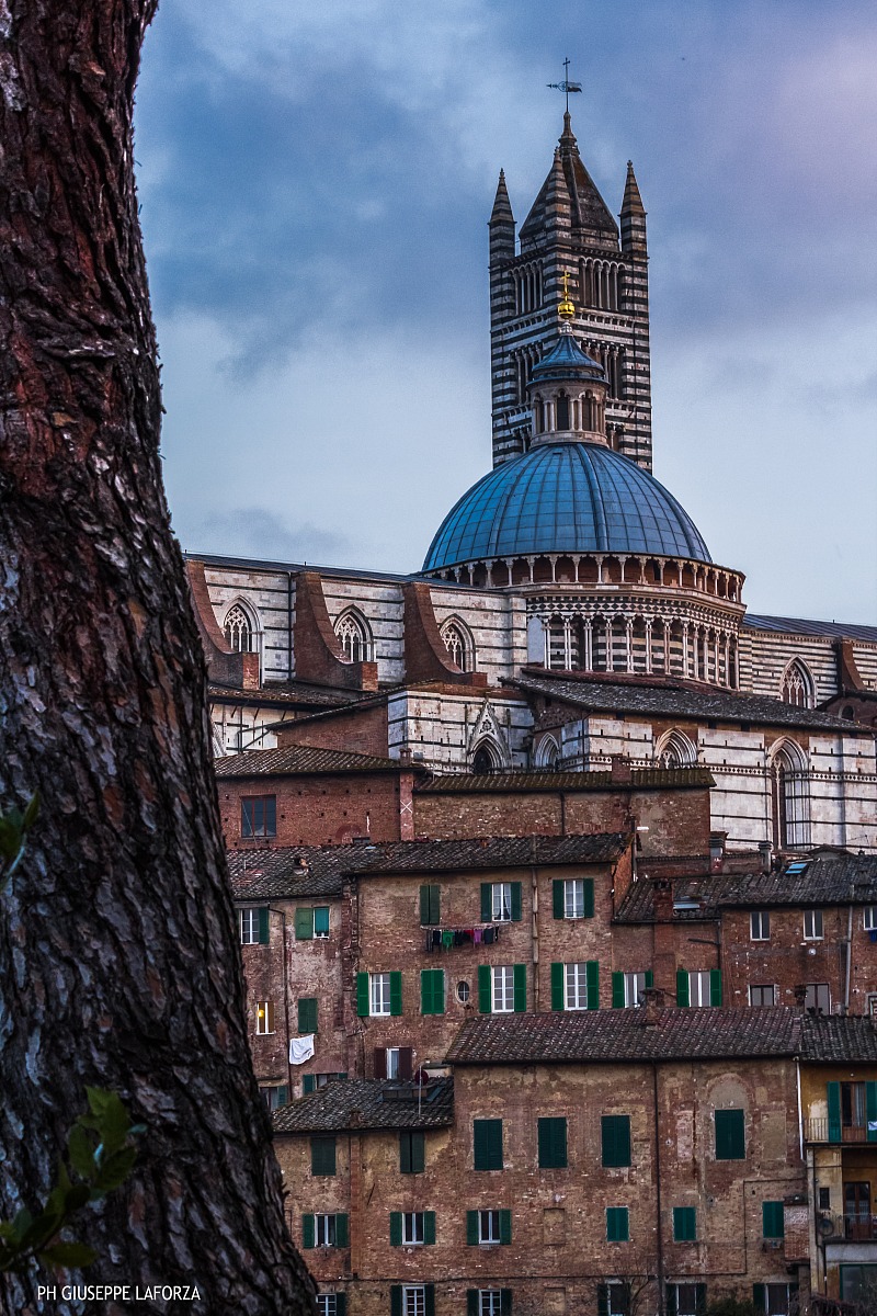 Scorcio del Duomo di Siena...