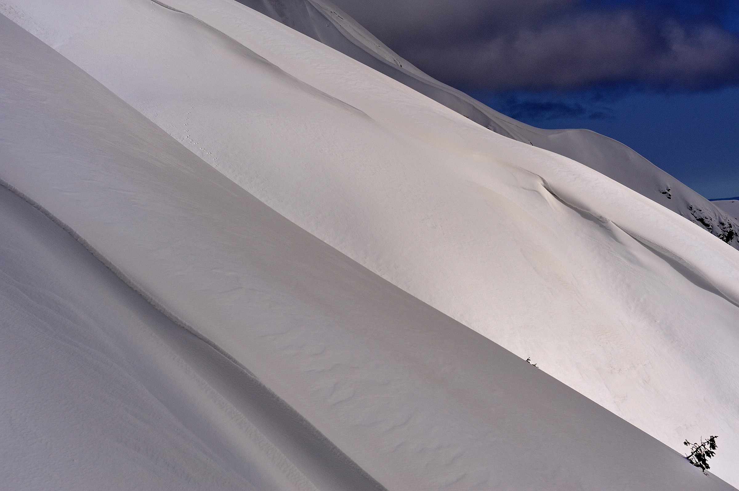 Snow and lines ......