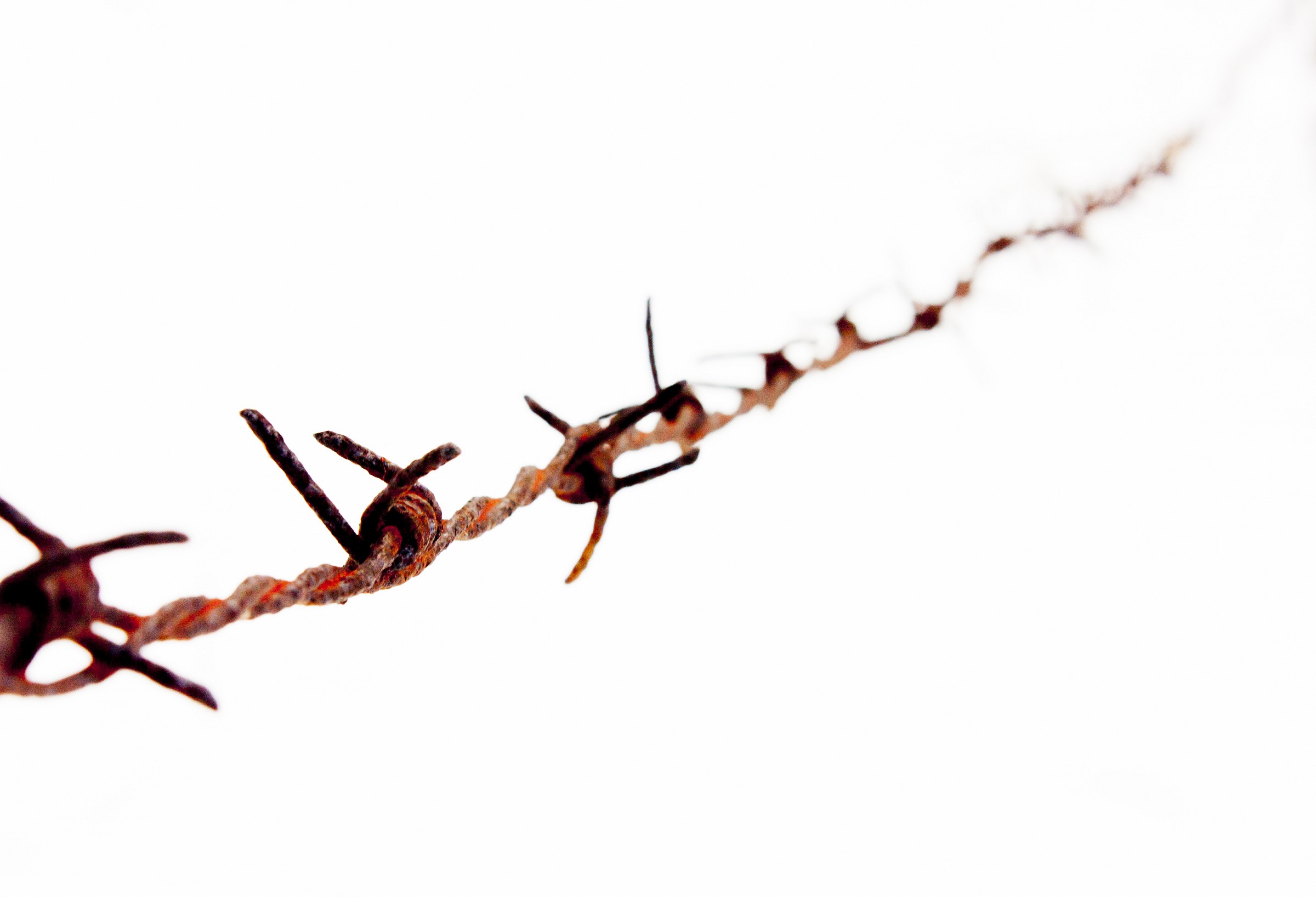 Barbed wire...