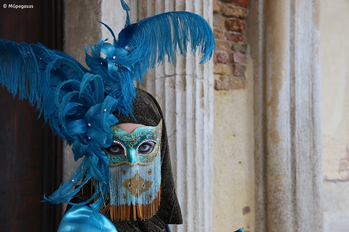 Venice Carnival 2015...