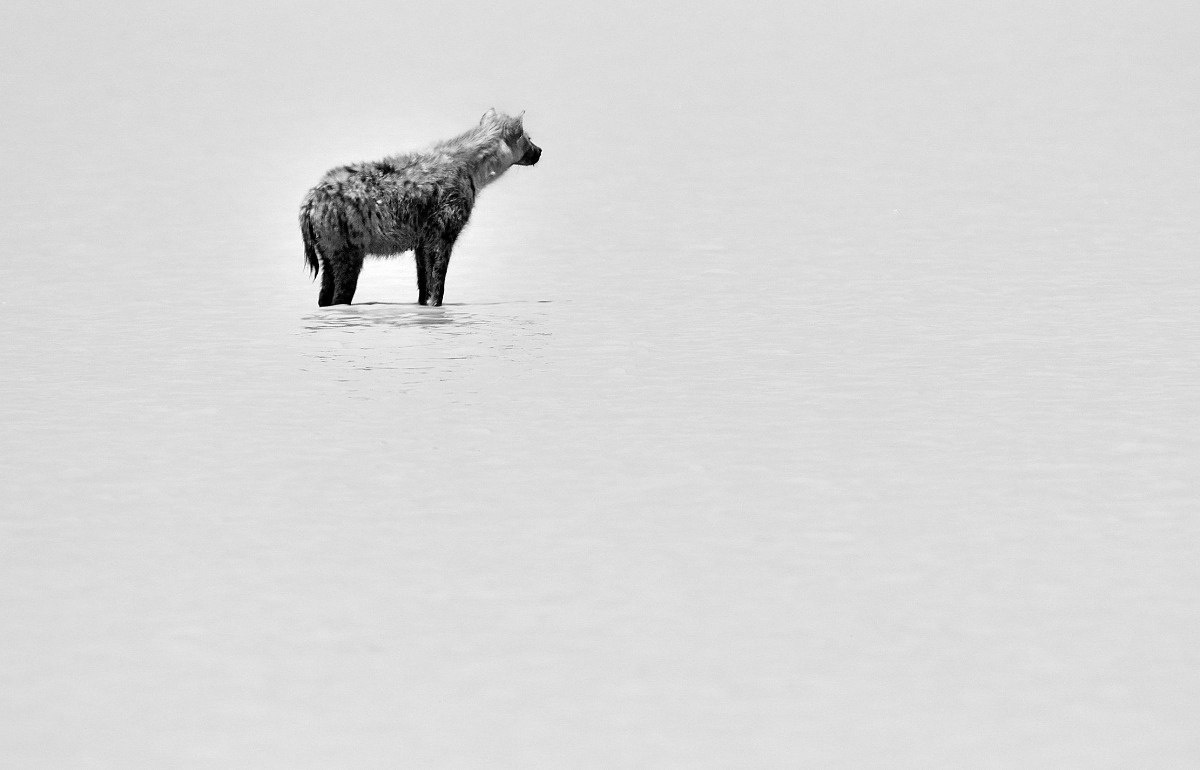 Tanzania 2015 - Alone in the lake...