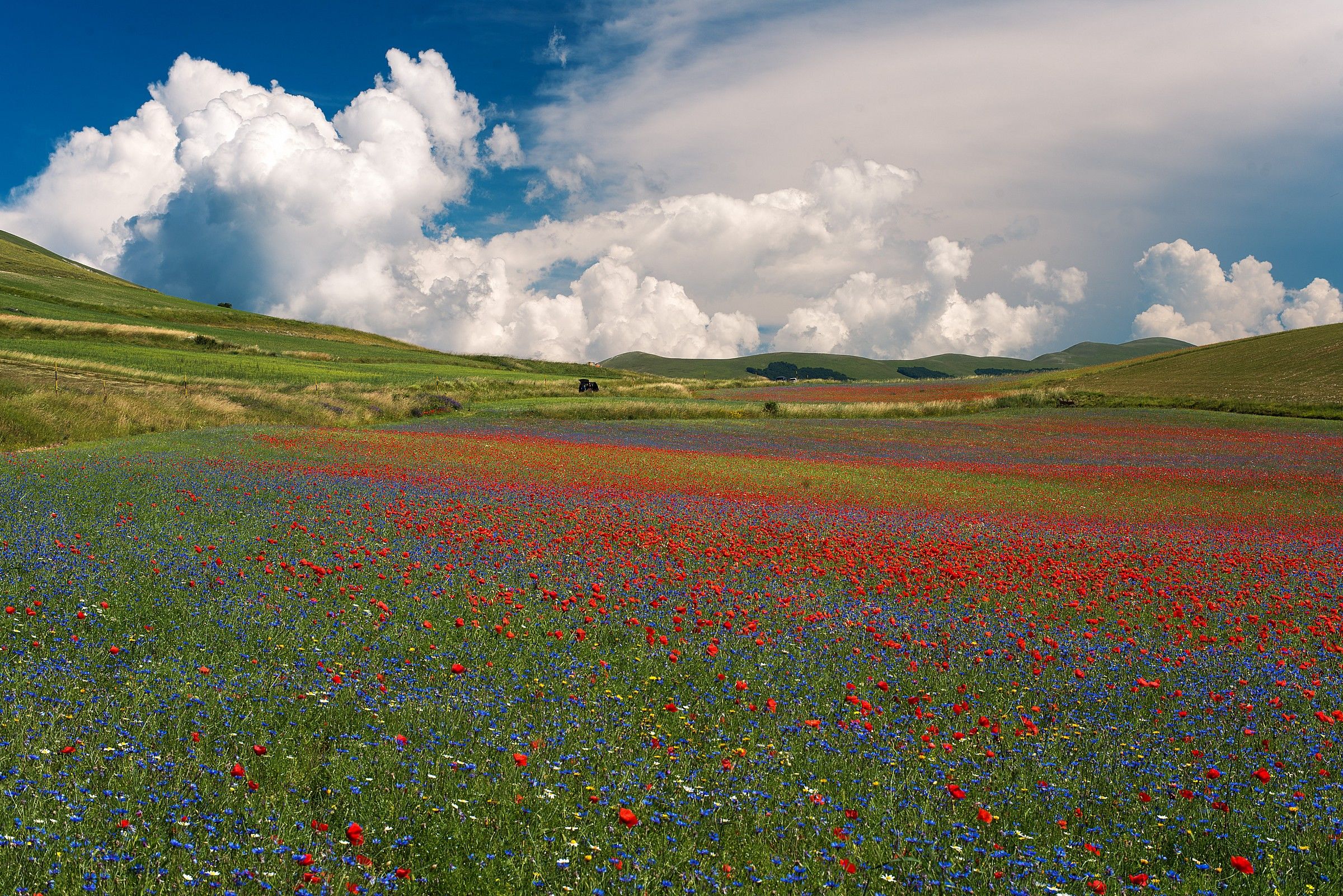the colors of the Plain of Castelluccio...