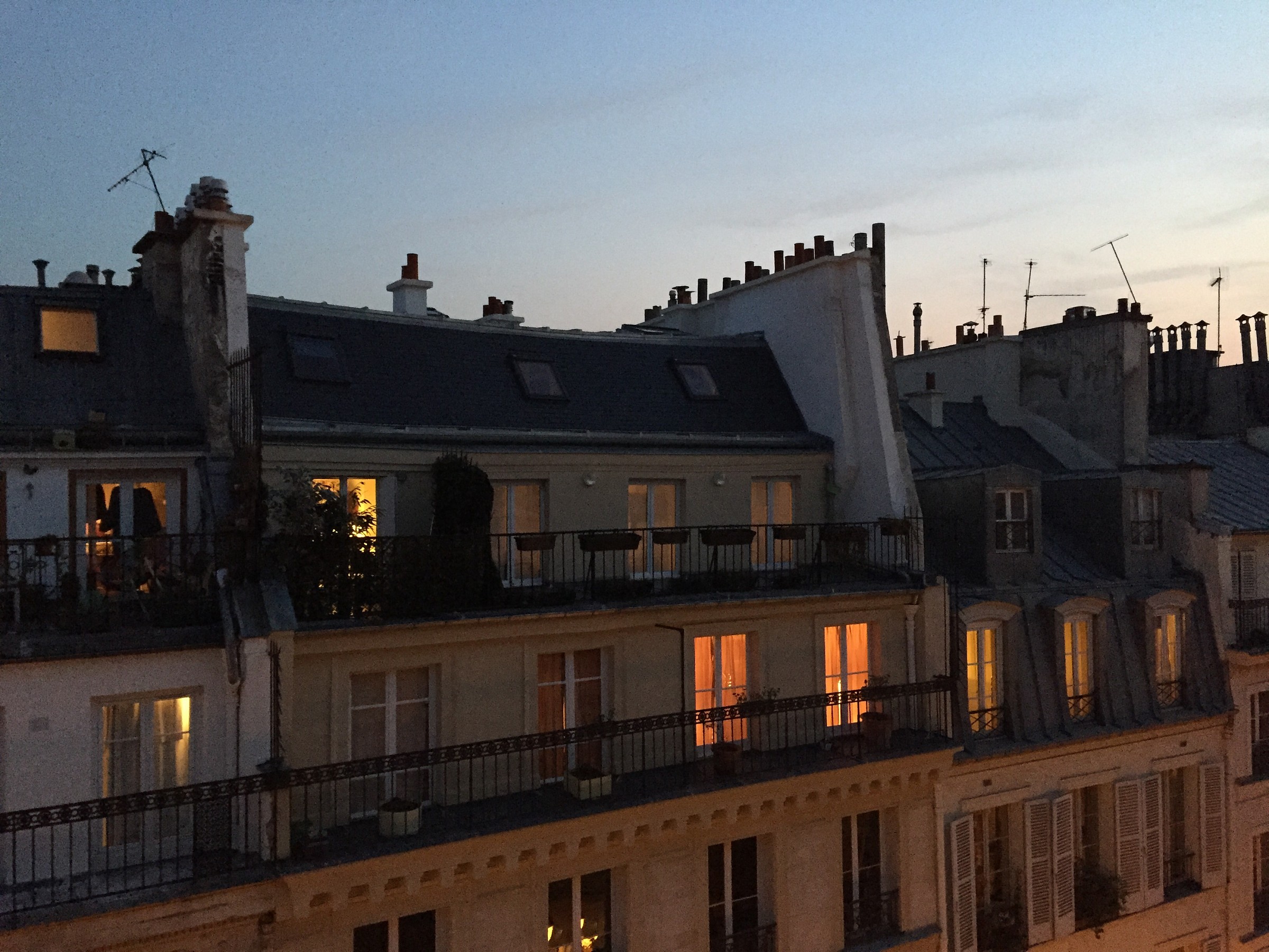 Parisian rooftops...
