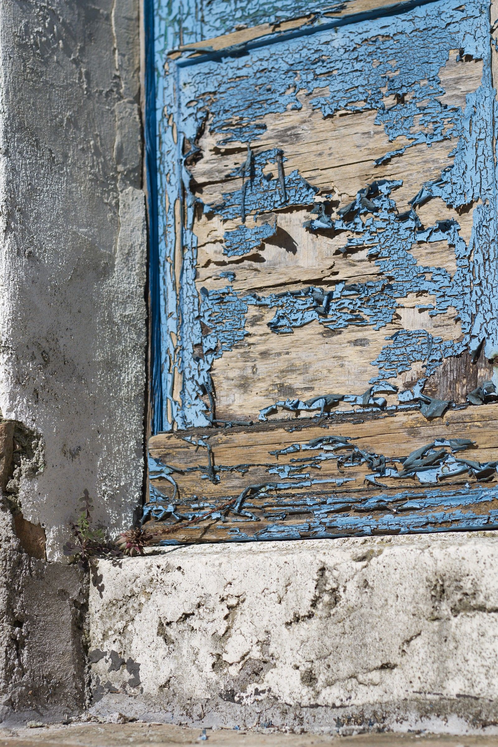detail blue door...