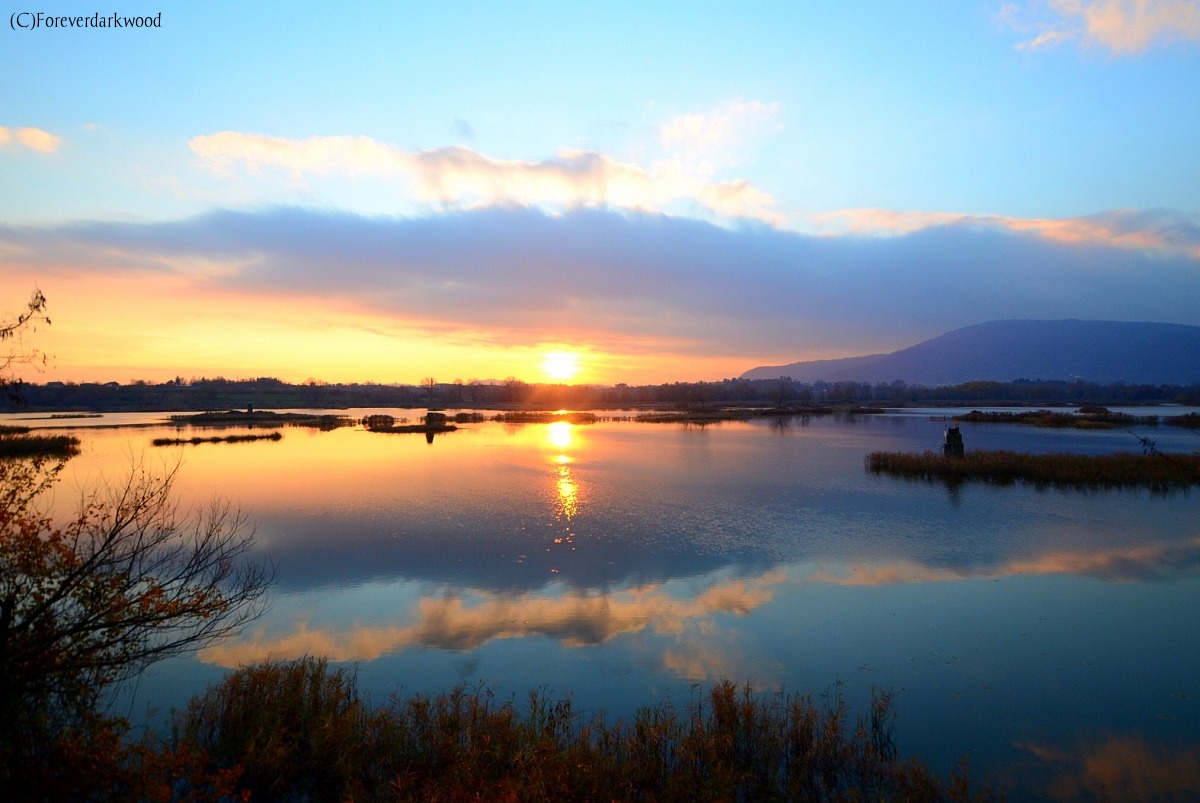 Sunset in the bog .....