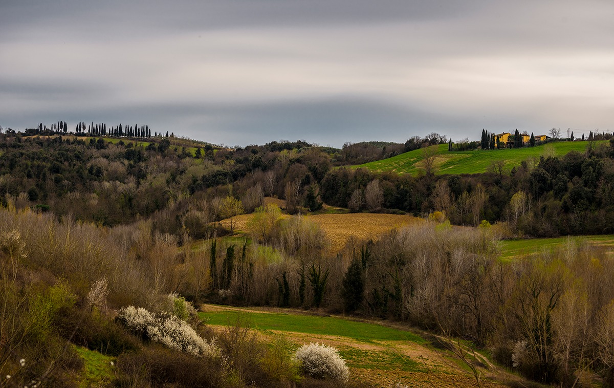 Tuscan hills...
