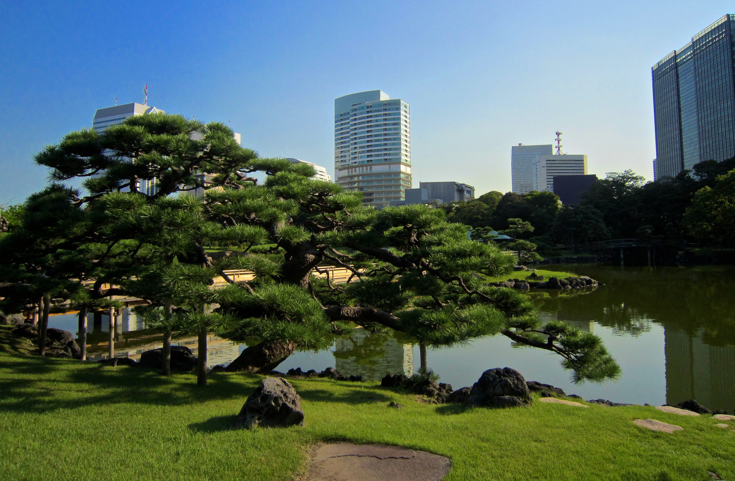 Tokyo, park in the city...