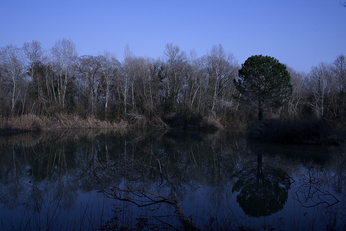 Mirrorlake (Alba per finta)...