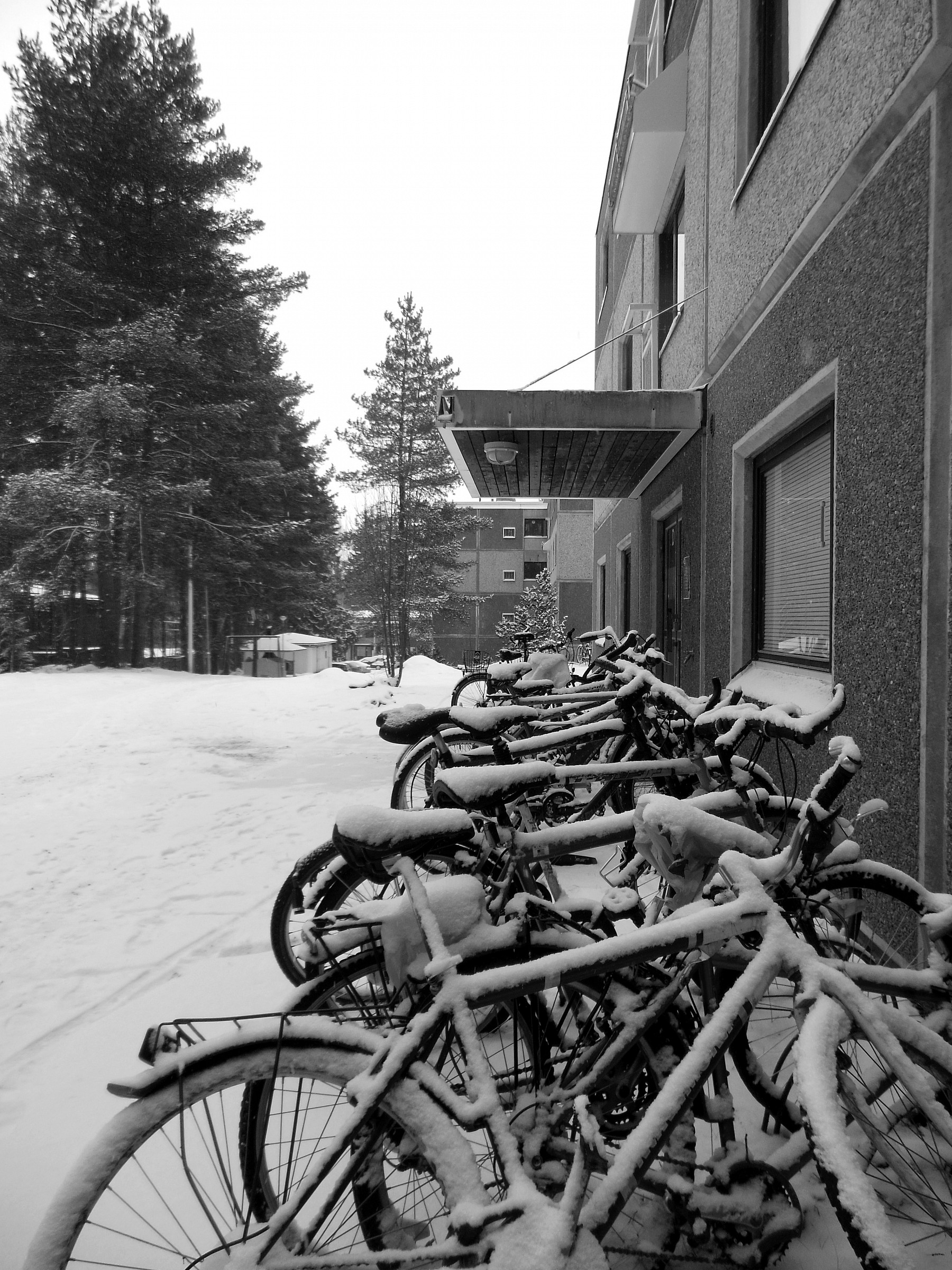 Bikes that are not afraid of the snow...