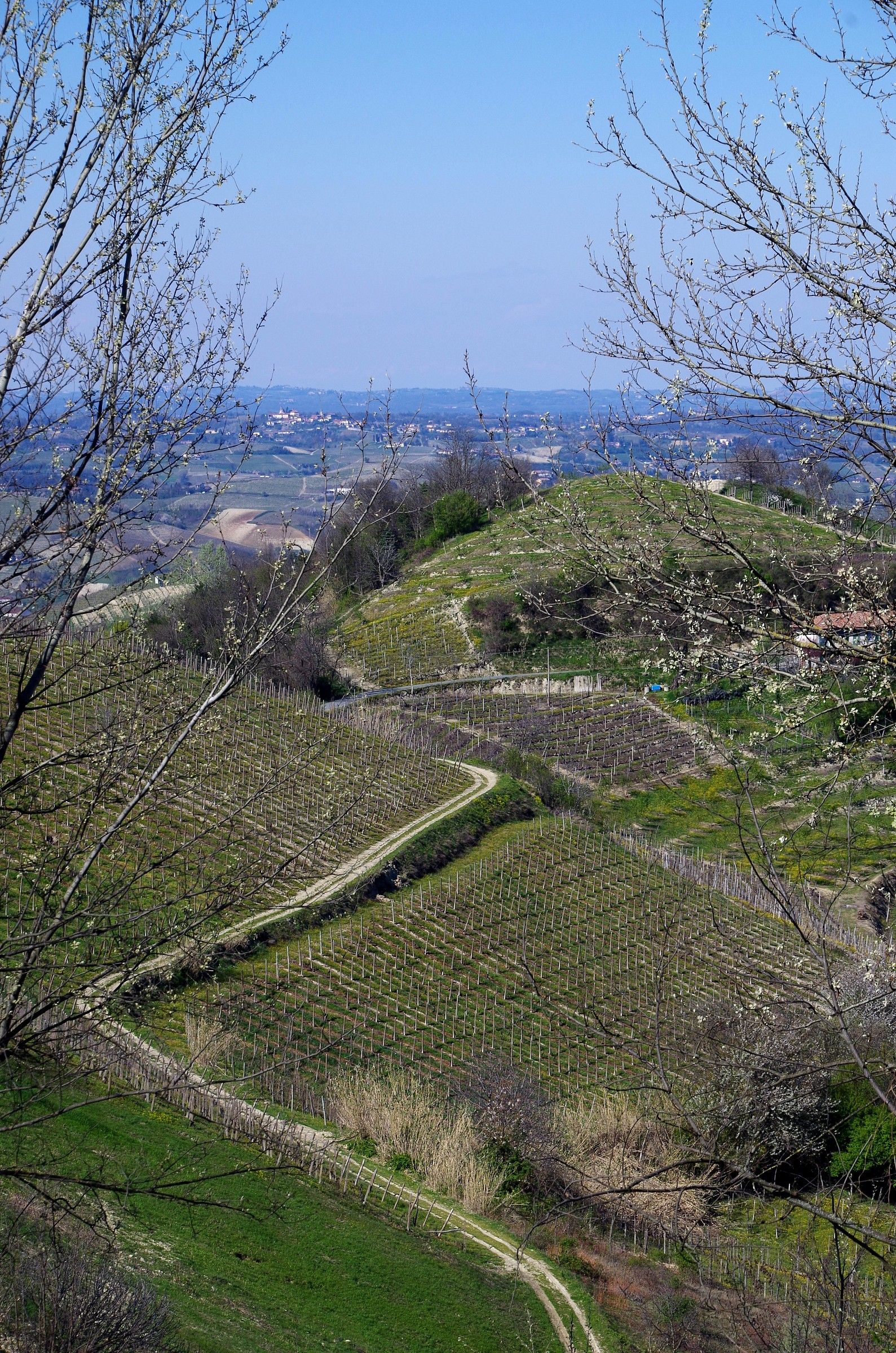 Easter Monday in the Langhe...