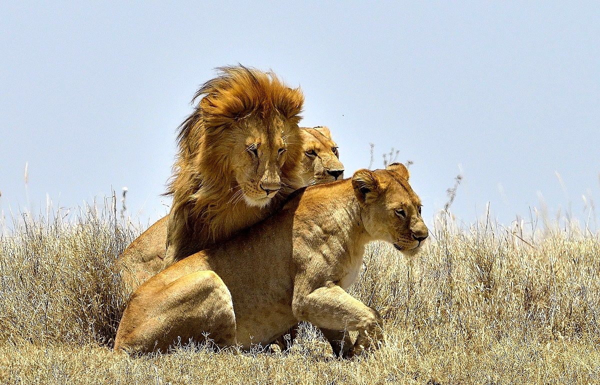 Tanzania 2015 - Crowded...