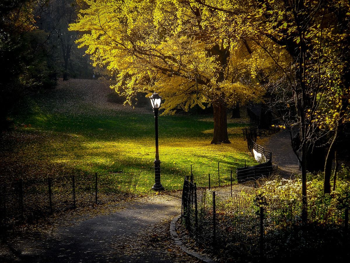 New York. Central Park...