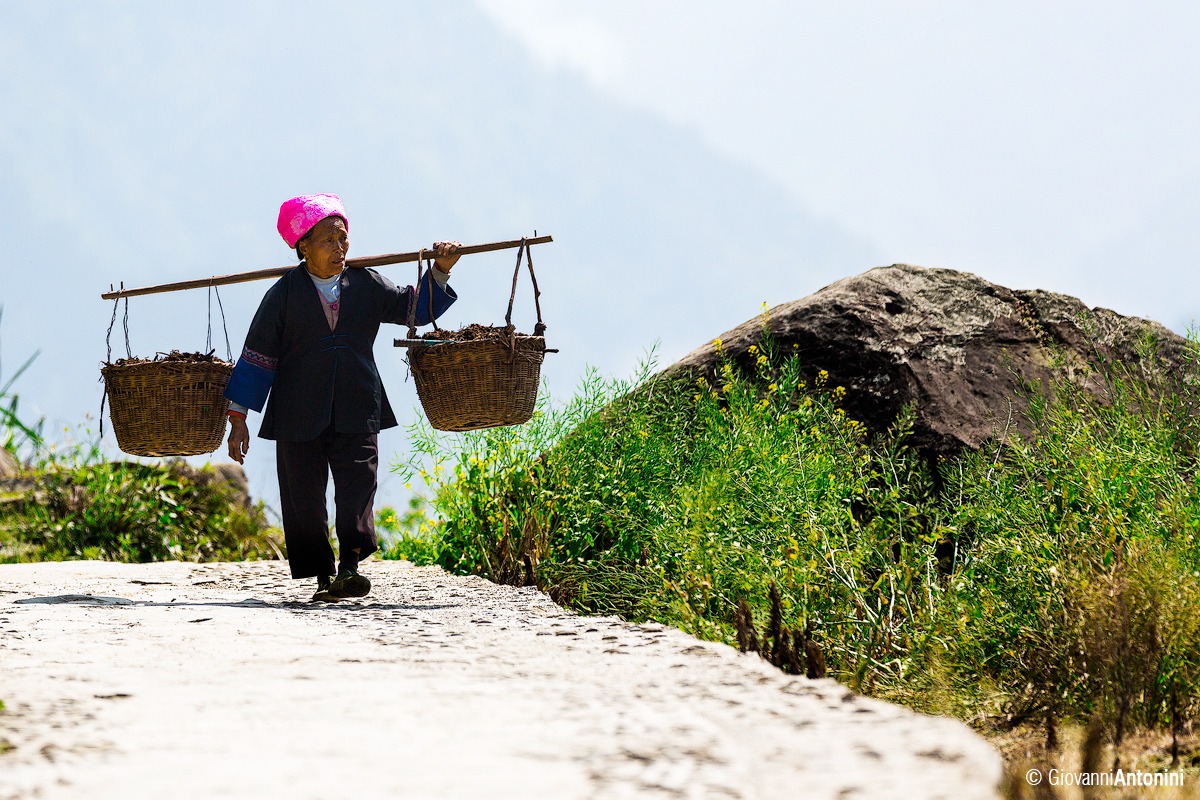 Towards the rice fields, China...