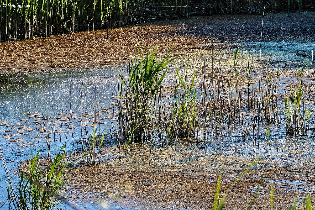 Il Fiume Po E Il Suo Delta 03...