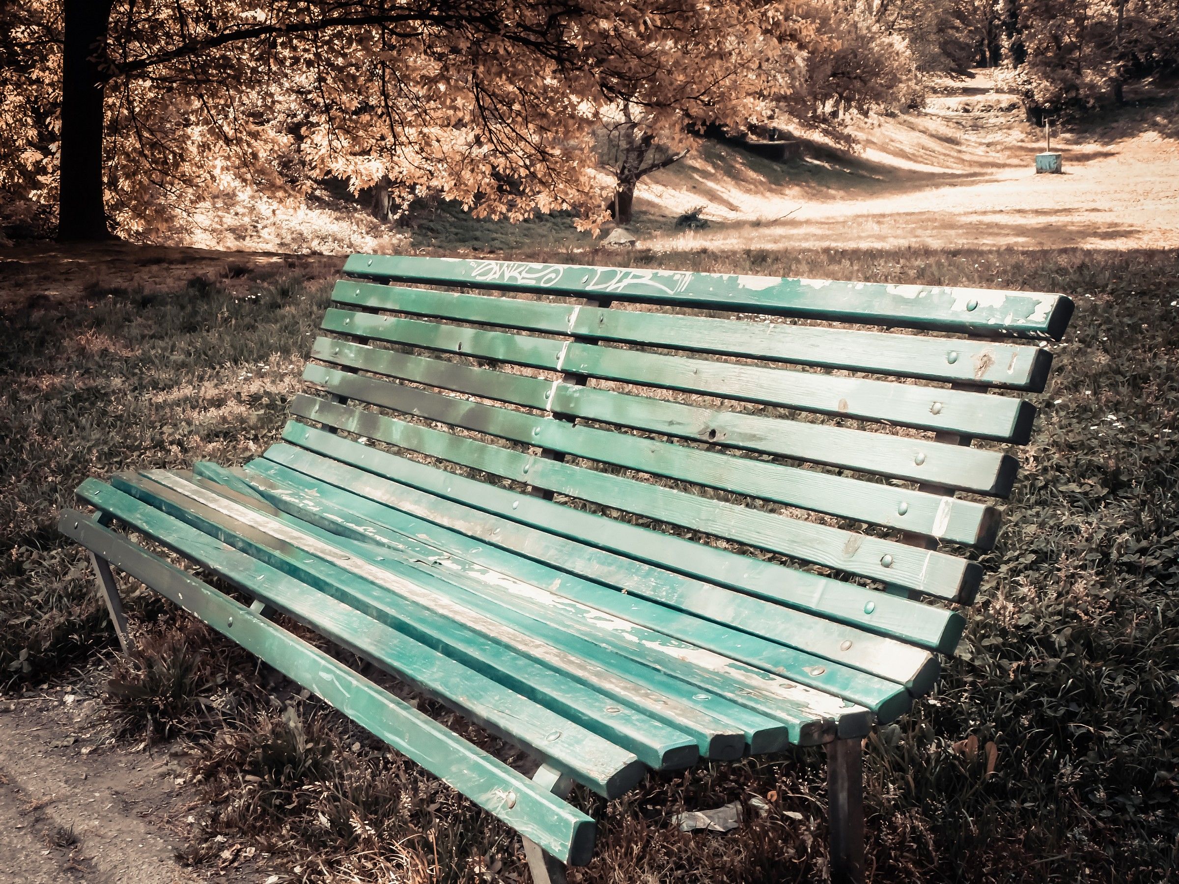Park...